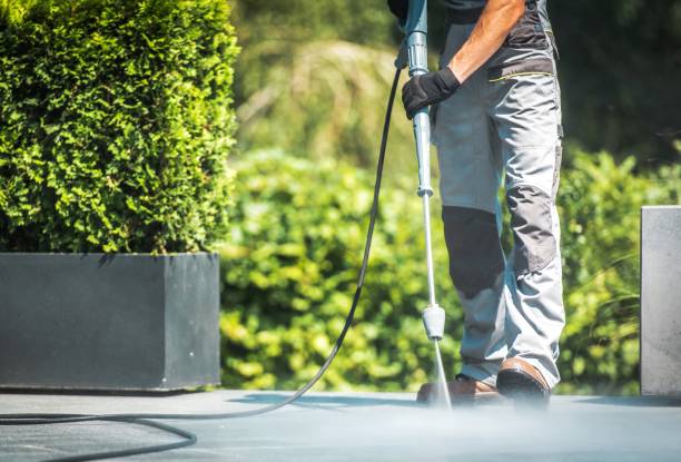 Best Fence Cleaning  in Batavia, IL
